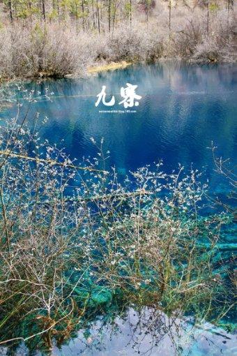 逃出昏暗的房子