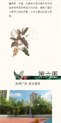 探寻清朝有多少个大学士的职位,发现知识星球平台的独特魅力