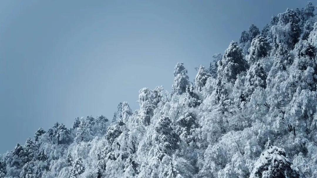 哪几个星座追求完美的爱情，只要是你，时间晚一点也没关系？游戏画面