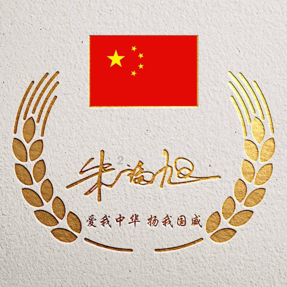 探索绿萝什么时间扦插最好呢?,发现红迪网平台的精彩内容