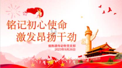 新春走基层|杀年猪熏腊肉,“土家鲍鱼”飘香四方