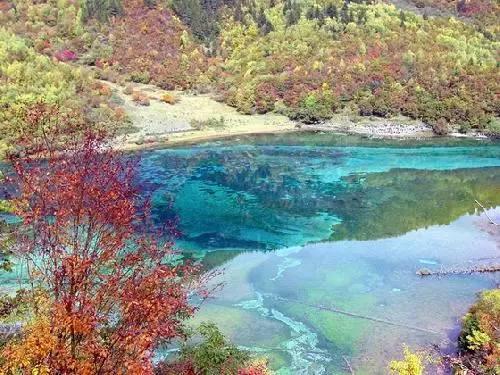 《功勋》,看完后你有什么感受?哪个场景最打动你心?-冷知识分享平台